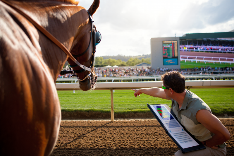 Predict Race Outcomes Effectively Using Data Analysis Techniques