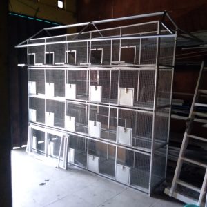 Kandang Lovebird 20 Plong